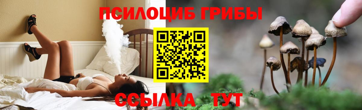 Псилоцибиновые грибы мицелий Саянск